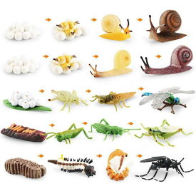 知育玩具 キッズ カタツムリ トンボ 蚊 バッタ リアル動物フィギュア 成長サイクル ライフステージ 学習 プラスチック製 幼児向け オブジェ