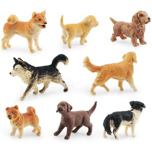  LbY qp A I ~j  tBMA nXL[ Č S[fgo[  hbO  Zbg vX`bN  RNV u