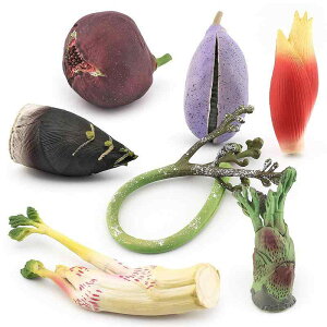 おもちゃ 子供用 ミニチュア リアル 食品サンプル 山菜 果物セット ワラビ 水タケノコ タラノキ イチジク アケビ タケノコ ままごと おままごと プラスチック製