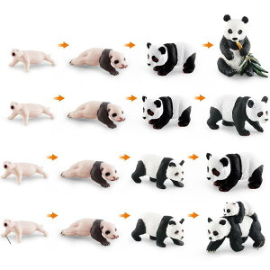 mߋ q LbY WCAgp_ ԃTCNwK tBMA A PVC u fBXvCf