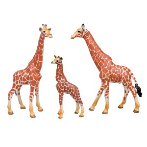 tBMA q mߋ A 쐶 Cm ƒ{ ঒   ~j`Af PVC wK CeA u i c j̎q ̎q v[g