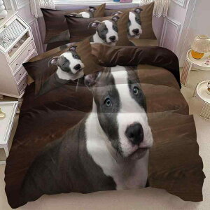 |zcJo[Zbg Jo[ 3_Zbg fW^vg  hbO`[t |GXe s[`XLH h  ېOK Q Vv _ 킢