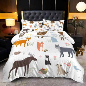 Q LbY qp xbhl fW^vg Aj} ǂԂfUC 킢 3_Zbg |zcJo[ Jo[ |GXe s[`XLH _炩 GK H~