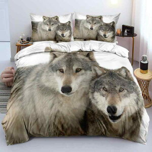 Q  Aj}fUC zcJo[Zbg 3_Zbg |GXe Nѐn tl 3DfW^vg K Gǂ I[V[Y