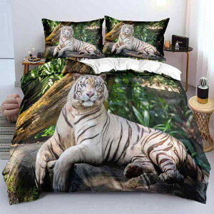 zcJo[Zbg LbY qp Օ ^CK[ J[gD[ Aj}  3_Zbg ӂ tl Nѐn 炩 G |GXeȍ fW^vg CG[