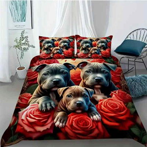 zcJo[Zbg  o h[Lb`[ 3D 掿 fW^vg |zcJo[ _炩G |GXe Q xbhl  ʔNp  킢