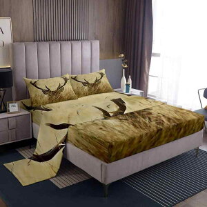 zcJo[Zbg NX}X ̊p fW^vg {bNXV[c 4_Zbg |GXe NщH Q  xbh[ k ~