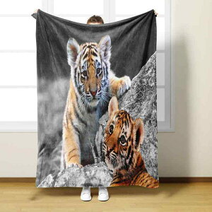 ѕz uPbg 3DfW^vg ҌՕ ^CK[ tl |GXe \tgG y 􂦂 Ђ| \t@Jo[ lG I[V[Y