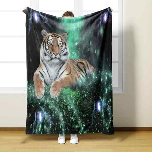 ѕz ^CK[ 3DfW^vg tl uPbg |GXe }CNt@Co[ I[V[Y y ӂӂ g rO Q \t@Jo[ Ђ| SNSf