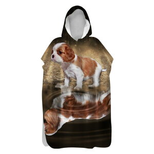 |` oX^I oX[u KE }CNt@Co[ ʋN z  ۉ y t[ht Aj} AEghA v[ r[` XC~O _CrO ւ(x2)