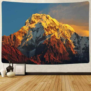 ^yXg[ R i Ǌ| z EH[fR[V |GXe k CX^ CeANX e[uNX rO Q  q  ډB