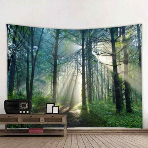 ^yXg[ 3D fW^vg Ǌ| EH[fR[V r[`^I r[`}bg e[uNX 唻 |GXe i T{e  ̐X rO Q AEghA 