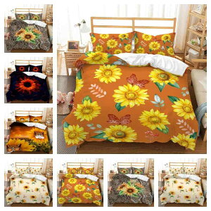 Q Jo[O 3_Zbg Ђ܂ ԕ  {^jJ 3DfW^vg ₩  |GXe t ͗lւ