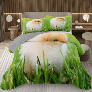 Q X[s[XZbg xbhJo[ xbhV[c s[P[X Ђ悱 k 3DfW^vg LeBO w@ q LbY