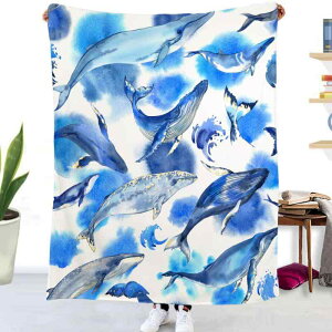 uPbg CmE CT NW  tl }CNt@Co[ _炩 y G [΍ t sp \t@Jo[ }`Jo[ Ђ|(x2)