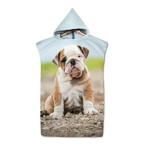 oX[u jp |` t[ht }CNt@Co[ z ʃt[X r[` v[ C W[ AEghA 悯 ւ^I P[v }g j(x2)