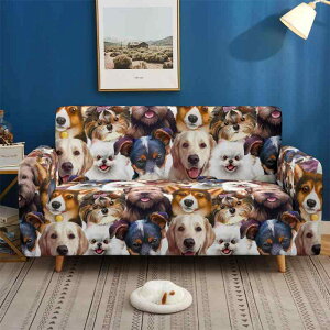 \t@Jo[ ybgp  L L gݍ킹 \t@Ή l| |GXe ho h~ h~ Ƌی rO }`Jo[