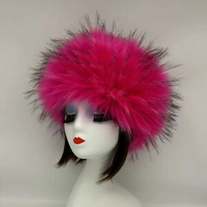 Xq fB[X VA ؍ tFCNt@[ VX nbg  H~ h ۉ ĕt ӂӂ  h 킢 o ig ی^ @ p(x2)