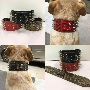 p ^ ^ hbOJ[ 7.5cm L Ch et xbg PUU[ ݂h~ U g[jO bh u[ ubN(x2)