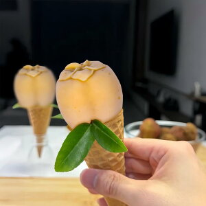 VR[h ` Ԑ ACXo[ ACXN[ Xَq fU[g P[L^ X  DIY sK`  _ Vv 킢 ٗpi