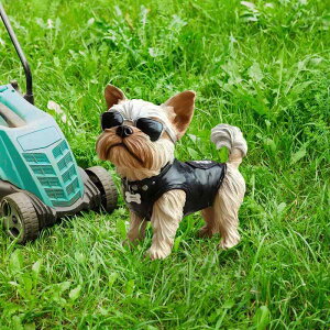 K[fsbN  q hbO PVC  nY  IuWF  킢 G Cxg fR[V F LN^[(x2)