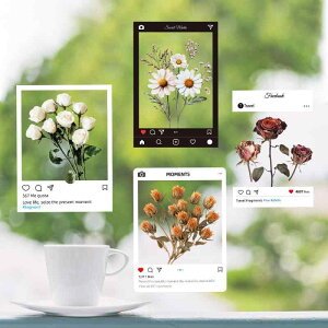 tB ԕ hCt[  fUC ÓdCz ЂȂ \Ă͂ ډB UVJbg vCoV[ی KXtB V[g Xg _CjO rO Q 