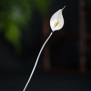  925Vo[ IWifUC Õ g J[ ԃ`[t h h i @  a    AbvwA  l Ǝ p[eB[ tH[} wAA