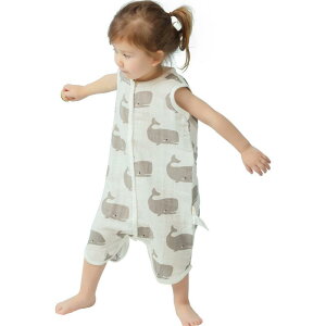 X[p[ xr[ LbY t K[[ 100% Rbg xXg^ Ȃ t  y Q₦h~ Ԃ pW} Aj} z ʋC