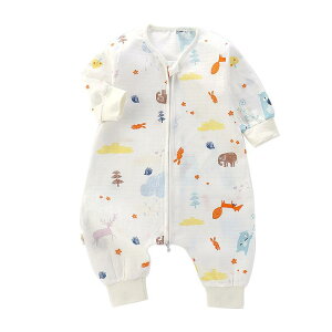 X[p[ xr[ c q LbY t  d  K[[ Q₦h~ ʔN 􂦂 100% Rbg pW} [EFA z 킢