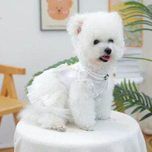 ybgEFA hX t  L ^ q Ck lR ps[ p[ EFfBOhX s[X tH[} uC_ Zj[ |GXe zCg 