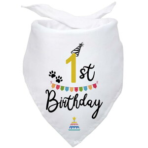 ybgpo_i  L a o[Xf[ 悾ꂩ OpXJ[t At@xbg vg |GXe JWA ʔN p[eB[ Cxg NfUC