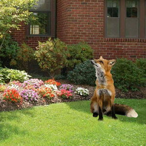 K[fsbN 킢 Lcl`[t AN Op   Ő _ K[f fR[V I[ig IuWF ݎ TCv[g  i(x2)