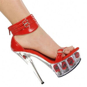 T_ fB[X 15cmq[ sq[ OfBG[^[T_ I[vgD CXg[ NX^ t[  Xg[ ؂ւ }`J[ 킢 v p[eB