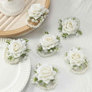 Xgu[P KN EFfBO  uCYCh ԉ QXgp  VNt[  RT[W i` Ǝ Ӊ p[eB[ FWJ