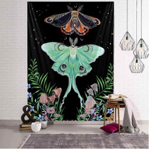 ^yXg[ Ǌ| ω XfUC kCeA  |GXe ` EH[fR[V rO Q  q 􂦂(x2)