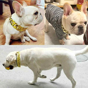 p ybg hbO ^ ^p  ߃`F[ F F [YS[h CG[S[h S[fgo[ t`uhbO uh[ uhbO qbvz