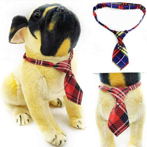 ybgp lN^C  Lp t`uhbO efB ^b` Jt `FbN |GXe ueBbVX^C I[V[Y U o  킢(x2)