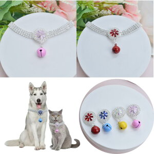 ybgp  L   p[ WRjA ی^`F[ L̑  ABJ[ bh sN XJCu[ LO a Cxg o(x2)