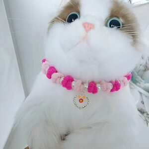 ybgp L lbNX t@[ p[  CXg[ t n[g^ }JJ[  킢 SNS u[n sNn ubN p[vn(x2)