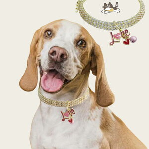 ybg   Lp o^C un[g x OA`F[ CXg[    킢 U o bh S[hn ANZT[(x2)