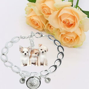 ybg L  p fUC CXg[ WRjA t  킢  ^ ^p Vo[  `[J[(x2)