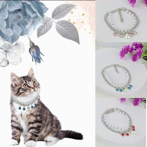  Lp _u p[ CXg[ t Vv  킢 SMLTCY ^ ^ ^ lbNX o Up ^`F[(x2)