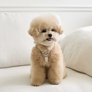 Lpn[lX ^ ^ Lp 킢 \tg _炩 v ϋv U[ |GXe  [h R Zbg U o ig ȒP K