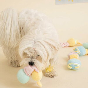 ybgp L p 킢 ʂ _x^ ނ o J JVJV m kog[jO Bt[h f^PA XgX V sN u