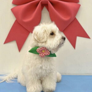 ペット用品 猫 犬用 小花 フラワー リボン 蝶ネクタイ バイカラー 首飾り アクセサリー コットン素材 インスタ映え SNS映え 通年