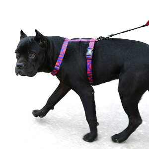 pn[lX I^  ^ ^ ^ U P o iC \ S K LxȃJ[ [hZbg