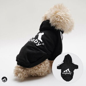 ybgEFA ^ Lp t[ht p[J[ X|[c p `[t vg r ۉ h |GXe ubN U o ig JWA 킢