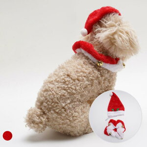 ybgp  L 킢 NX}X Cxg ANZT[Zbg bh xxbgn t || t AN  }t[