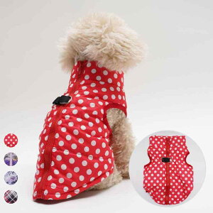 ybg  L nEB xXg Ȃ Sʃvg hN N̑ Ⴞ giJC ̌ 킢  |GXe Cxg p[eB[ U