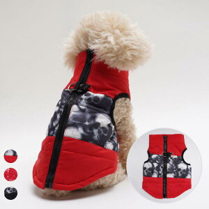  L nEB xXg  XJ hN N̑ Xm[} giJC ̌ vgEFA Cxg ߑ  |GXe  